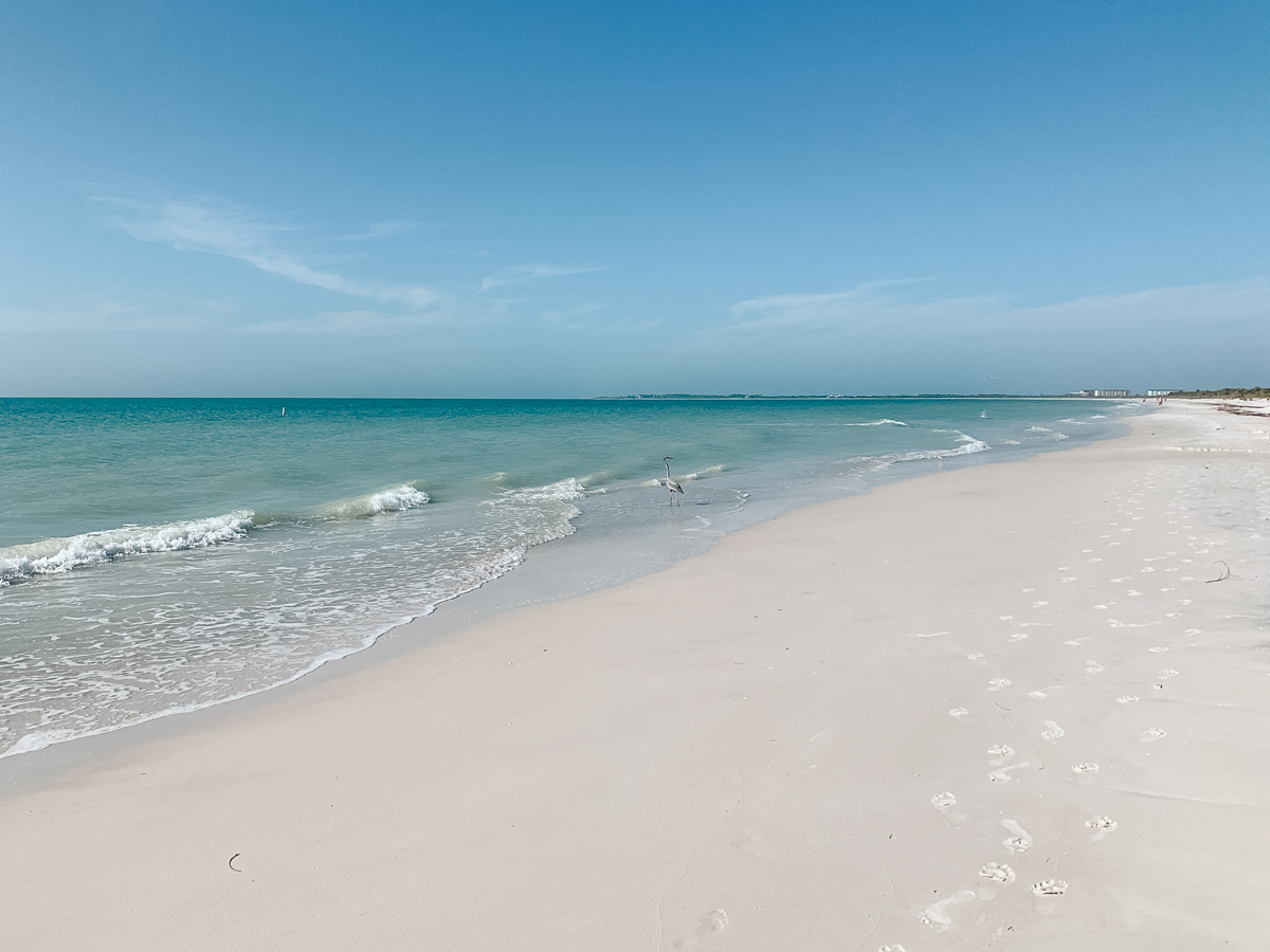Clearwater in March Weather, Travel Tips & More for 2024 Exploring