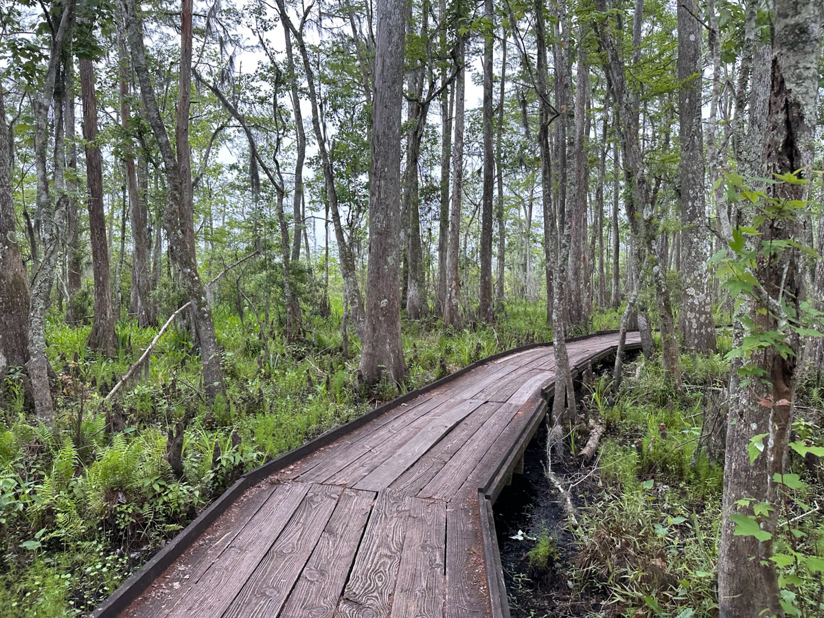 New orleans weather for april